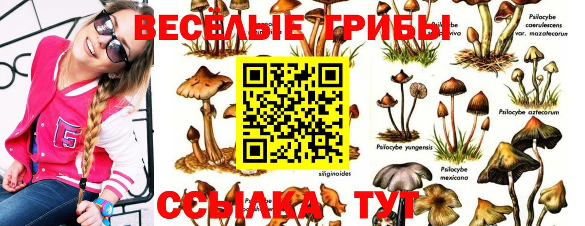 Галлюциногенные грибы GOLDEN TEACHER  Вход с VPN  Дедовск 